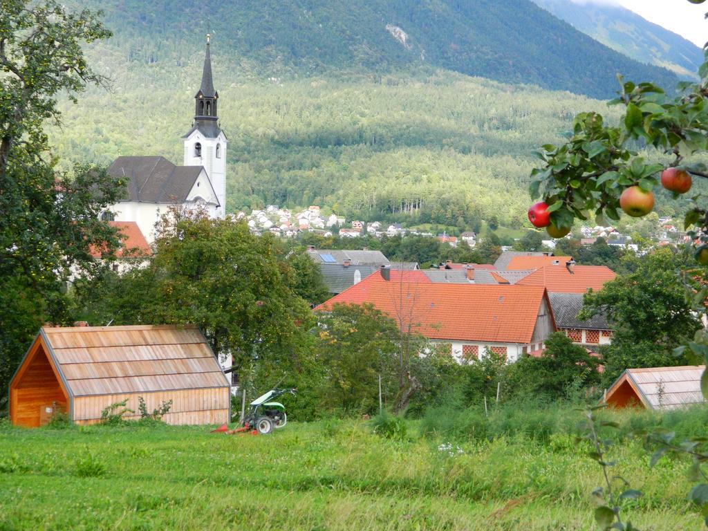 Glamping Organic Farm Slibar Villa Trzic Exterior photo